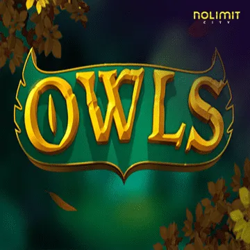 Owls - HASEAGAMING