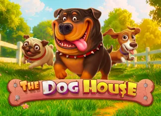 The Dog House - HASEAGAMING